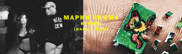 гидра Аркадак