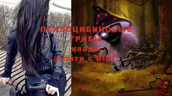 Альфа ПВП Арсеньев