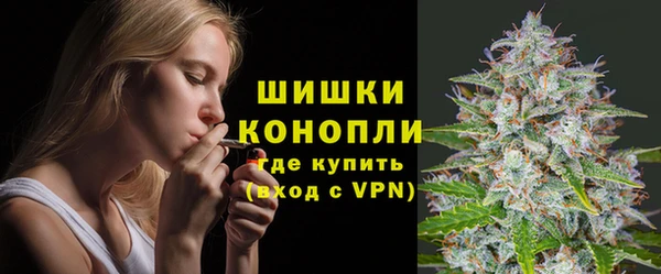 гидра Аркадак