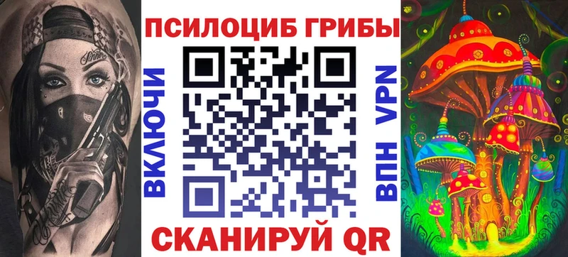 Псилоцибиновые грибы Cubensis  Сельцо 